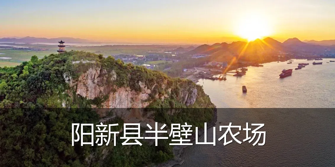 阳新县半壁山农场