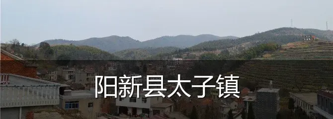 阳新县太子镇