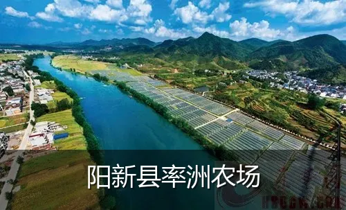 阳新县率洲农场