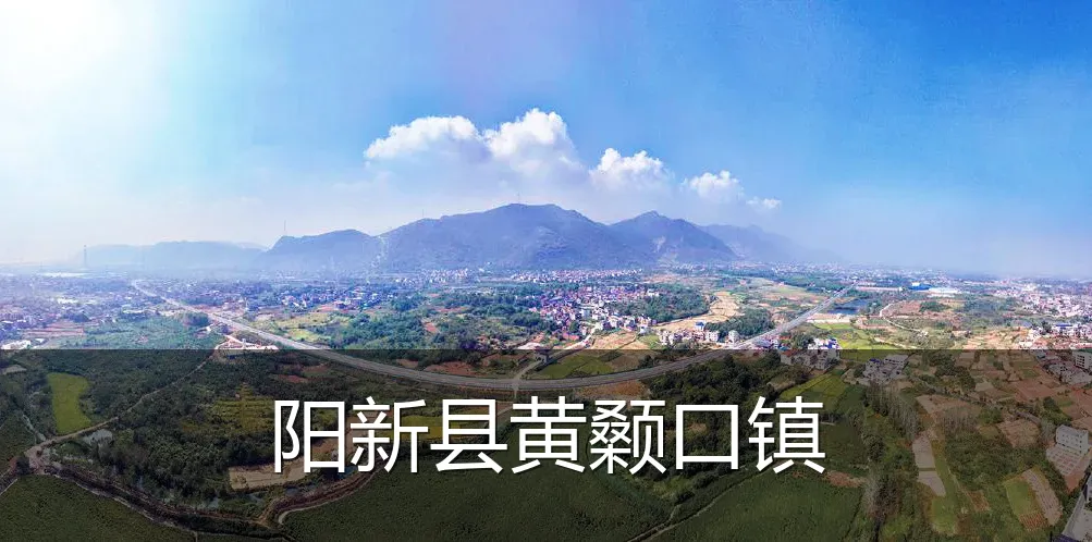 阳新县黄颡口镇