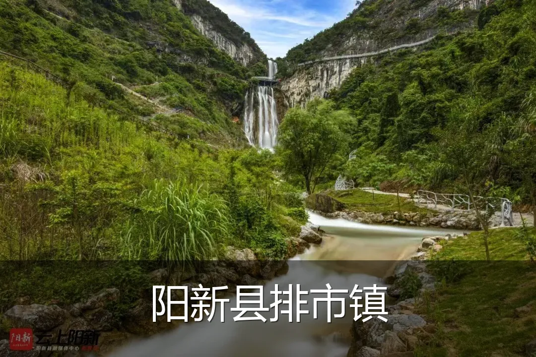 阳新县排市镇