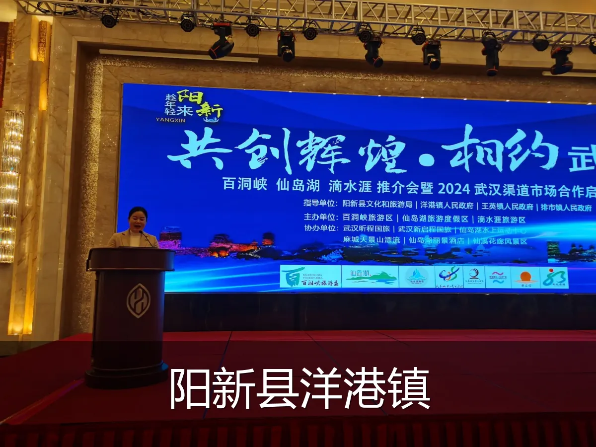 阳新县洋港镇