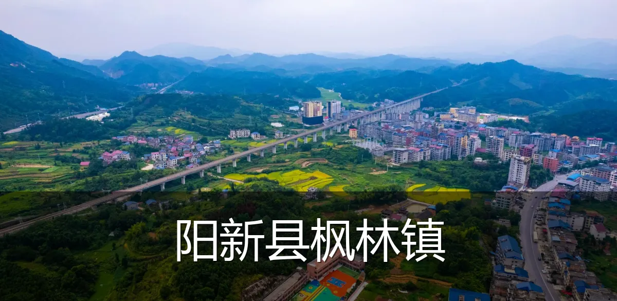 阳新县枫林镇