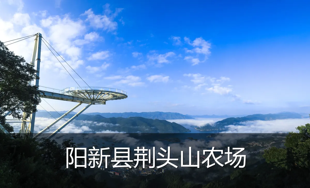阳新县荆头山农场